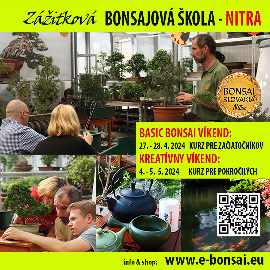 Zážitková bonsajová škola Nitra